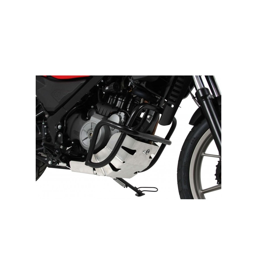 Hepco & Becker Hepco & Becker - Protector de Motor BMW G650GS (Sertao) 2011